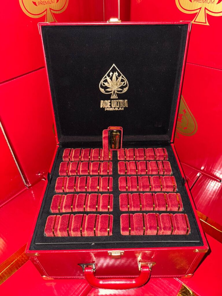 Ace Gold vs Mini: Which One Fits You?