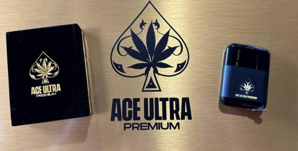 Best Ace Ultra for Beginners: Top Picks
