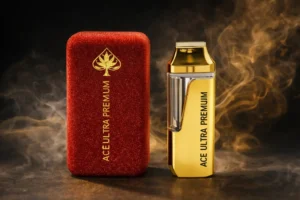 The Future of Premium Disposables