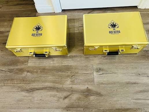 Guide to Buying Authentic Disposables